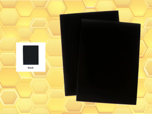 Protèges cartes Premium (X50) NOIR Beeprotect