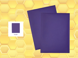 Protèges cartes Premium (X50) VIOLET Beeprotect