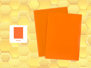 Protèges cartes Premium (X50) ORANGE Beeprotect