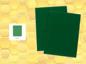 Protèges cartes Premium (X50) VERT Beeprotect