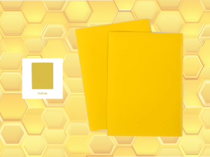 Protèges cartes Premium (X50) JAUNE Beeprotect