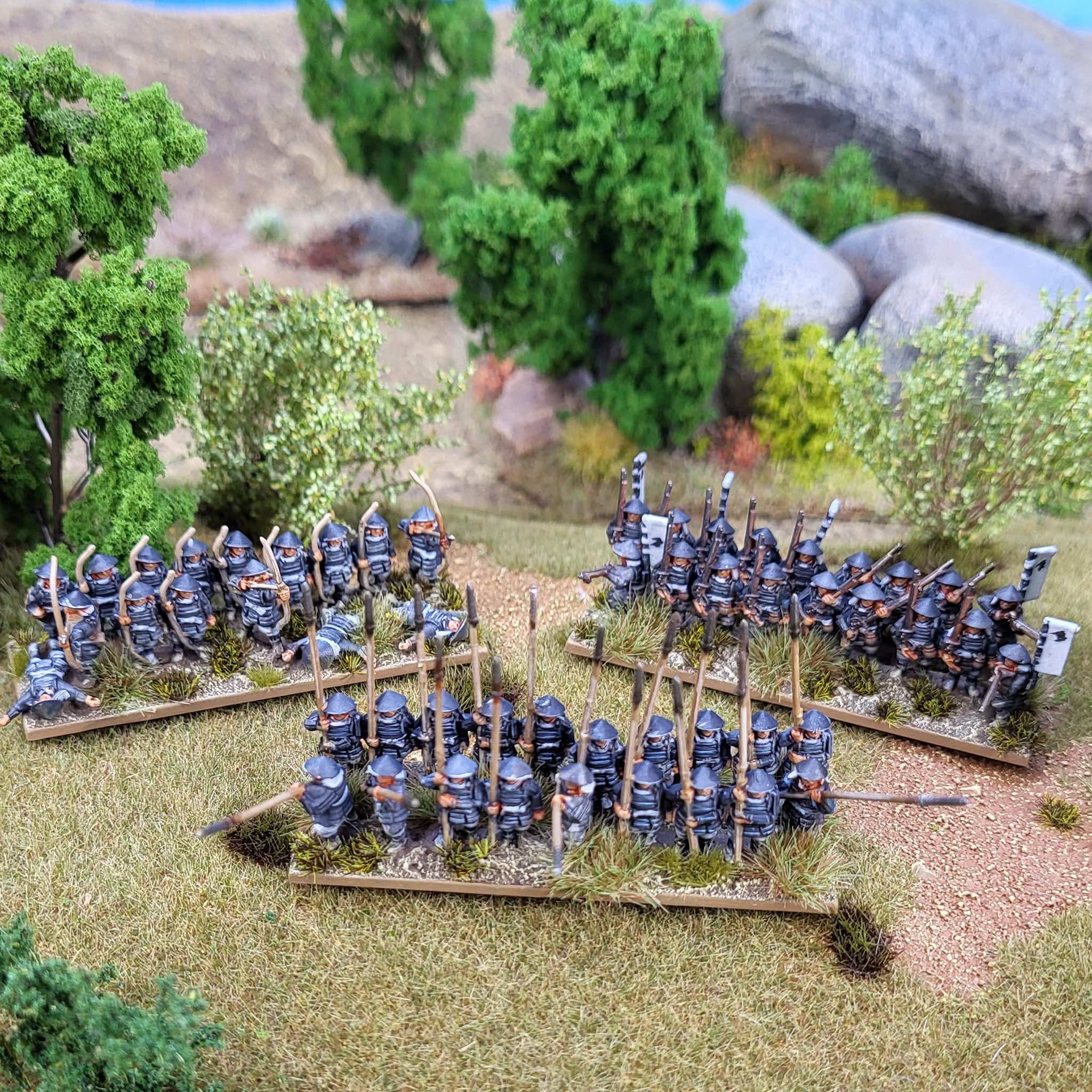 WargamesAtlantic : CFB10mm/Ashigaru