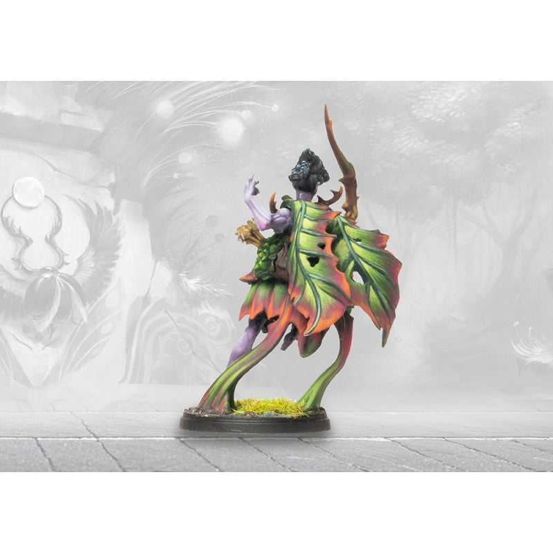 Conquest - Weaver Courts : Rhun Sidhe