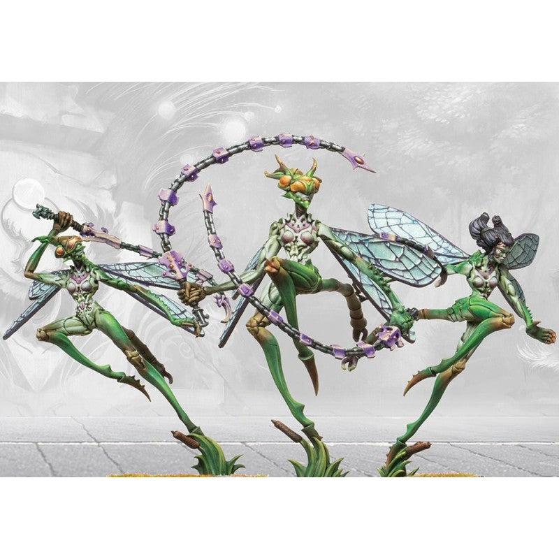 Conquest - Weaver Courts - Scalie Dancers