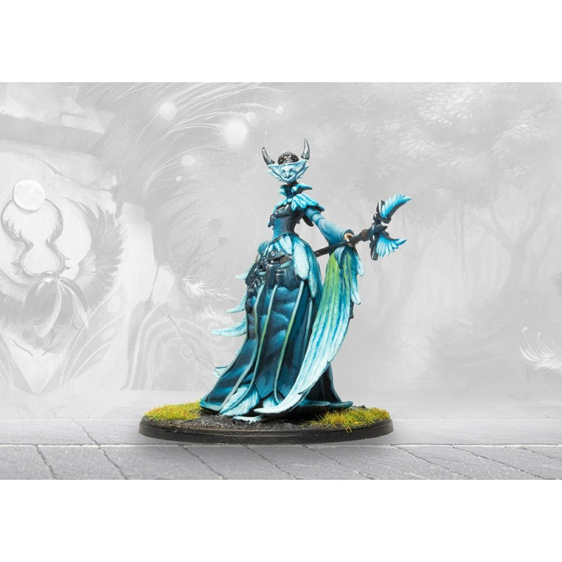 Conquest - Weaver Courts : Seanchas Sidhe