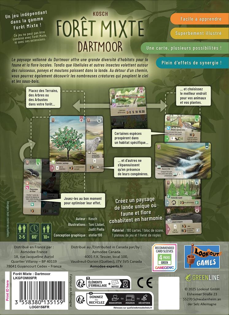 Forêt Mixte : Dartmoor