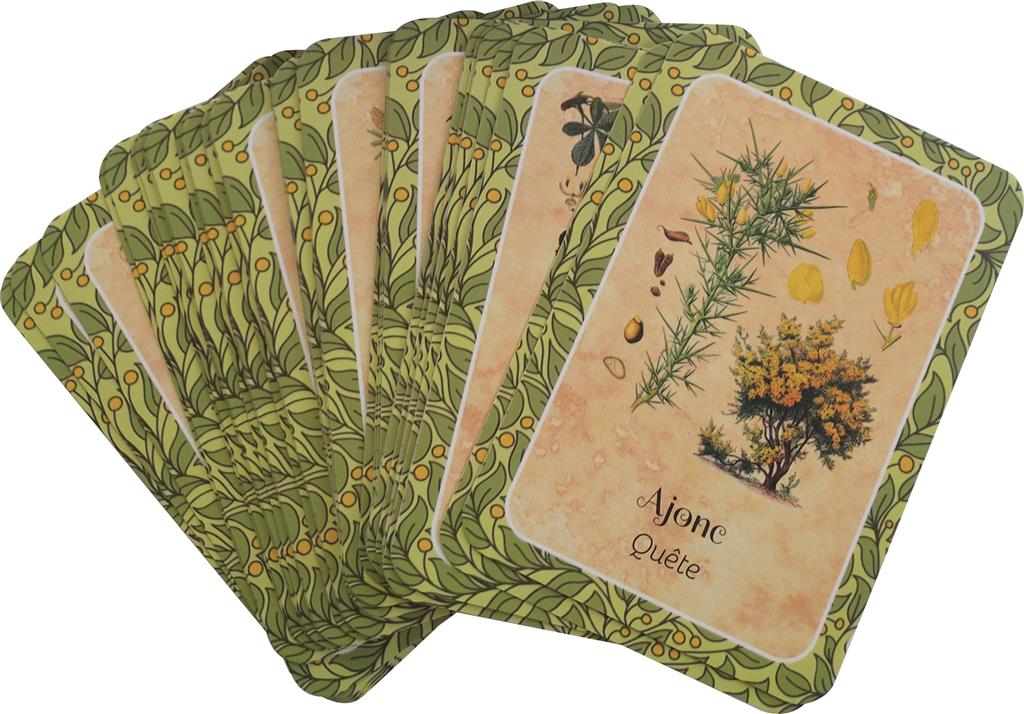 Les cernes du temps - Oracle