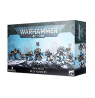 SPACE WOLVES: CHASSEURS GRIS