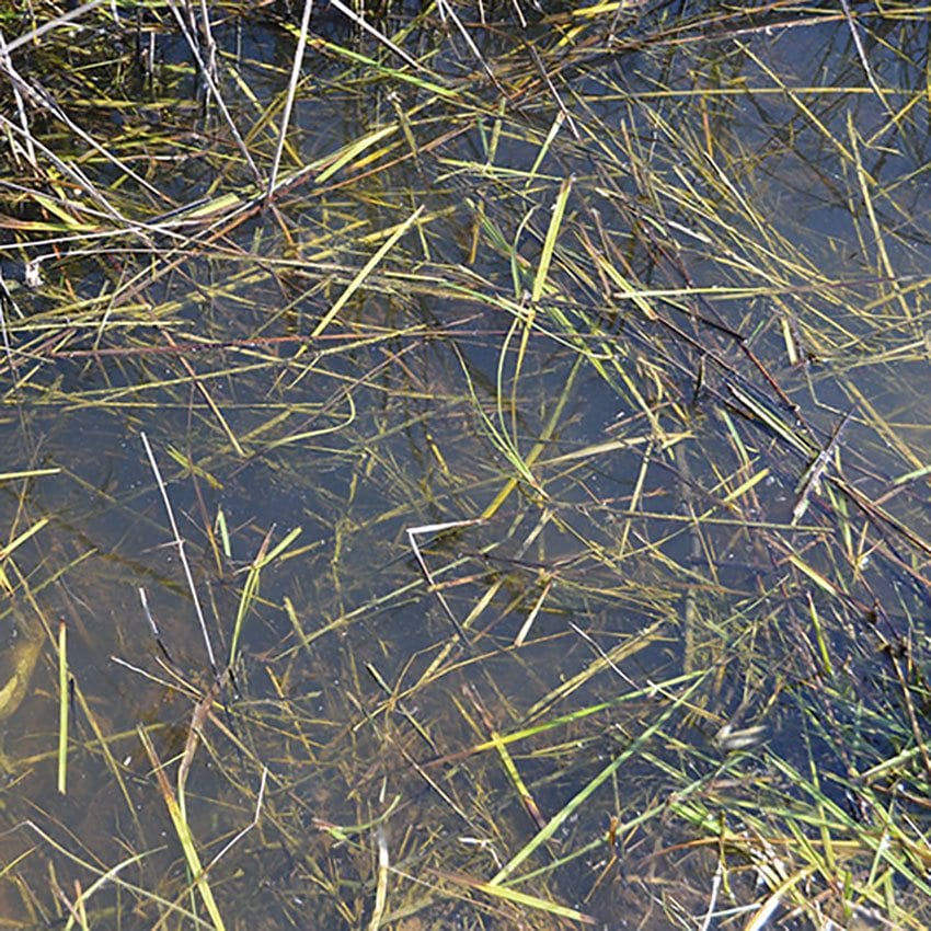 AK Interactive Diorama :STILL WATER - 250ml (Acrylic)