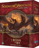 Seigneur des Anneaux  Jeu de Carte Evolutif : Le Retour du Roi (Saga)