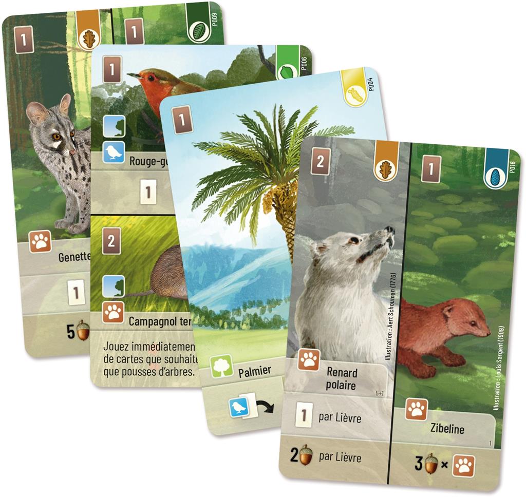 Forêt Mixte : Exploration (Extension)(EN STOCK)(SOLDES D'HIVER 2026)