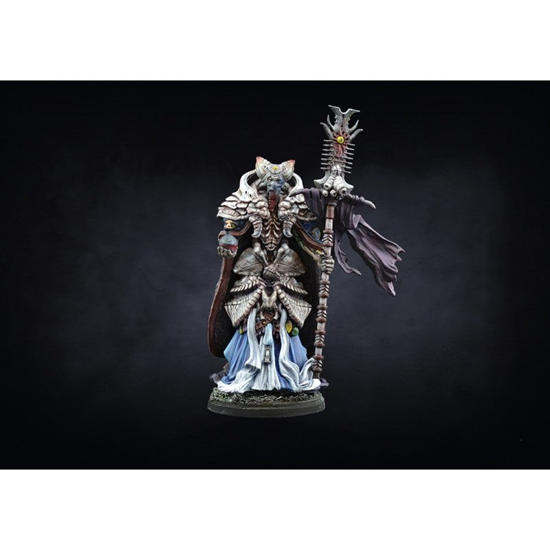 Conquest :Spires: Warband Set (LIVRAISON GRATUITE)