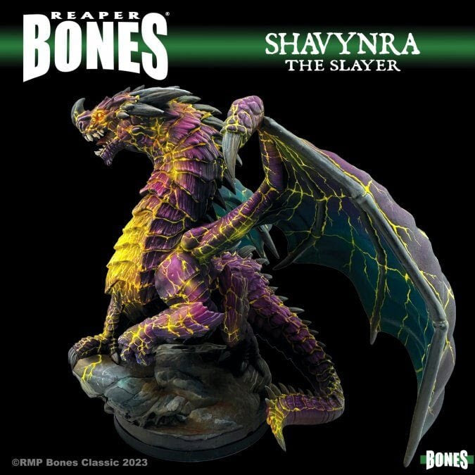 Reaper Miniatures : Shavynra the Slayer, Huge Dragon Bones Classic Deluxe Boxed Set