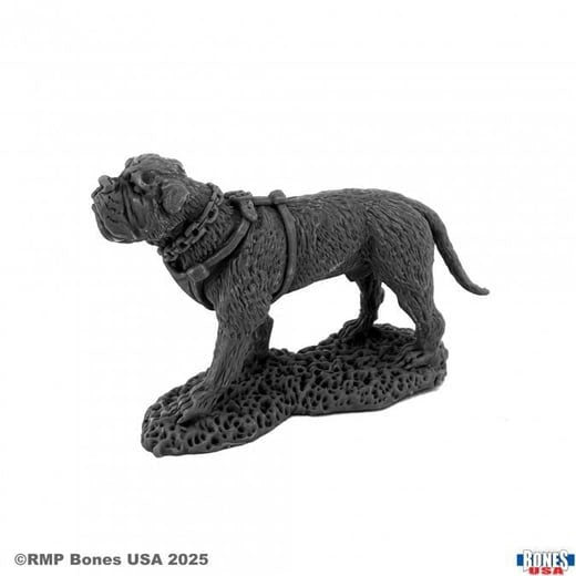 Reaper Miniatures : Garr, War Dog (Disponible en mai)