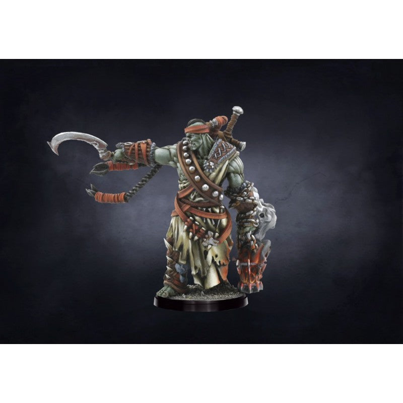 Conquest -W’adrhŭn: Warband Set (LIVRAISON GRATUITE)