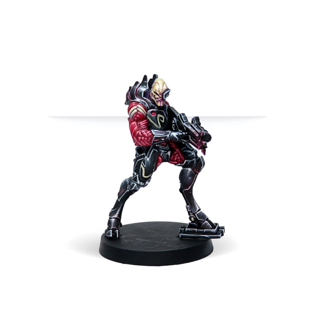 Infinity - Model Color Set: Shasvastii Exclusive Miniature